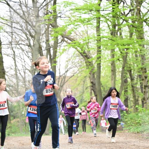 13.04.2025 - Hammer Lauf Dr. Thomas Lammeyer http://msf.ph/oto/7633583 13.04.2025 09:25:42 Laufen 842, 1266, 852, 12, 680, 1405 meine-sportfotos.de