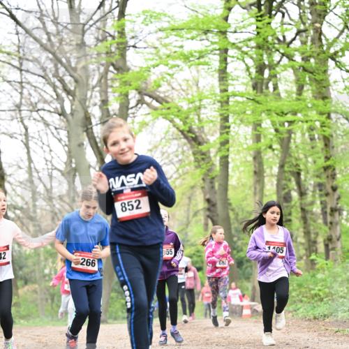 13.04.2025 - Hammer Lauf Dr. Thomas Lammeyer http://msf.ph/oto/7633597 13.04.2025 09:25:43 Laufen 42, 852, 266, 555, 680, 1405 meine-sportfotos.de