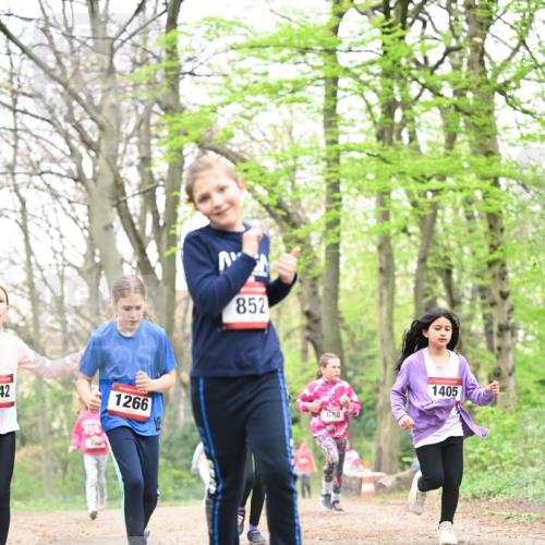 13.04.2025 - Hammer Lauf Dr. Thomas Lammeyer http://msf.ph/oto/7633609 13.04.2025 09:25:43 Laufen 42, 1266, 852, 680, 1405 meine-sportfotos.de