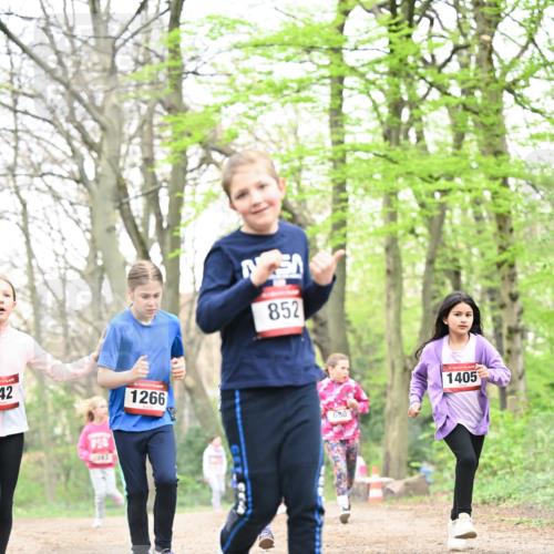 13.04.2025 - Hammer Lauf Dr. Thomas Lammeyer http://msf.ph/oto/7633616 13.04.2025 09:25:43 Laufen 42, 15, 1266, 852, 680, 1405 meine-sportfotos.de