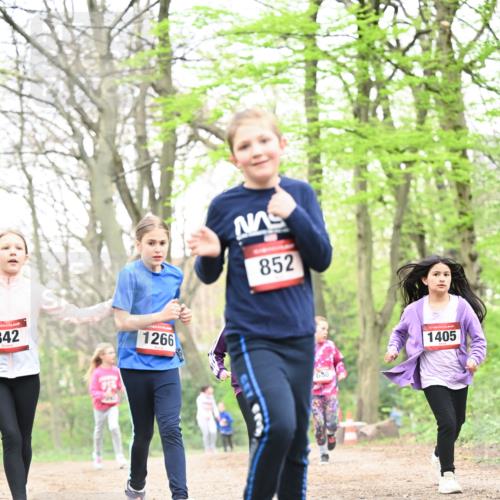 13.04.2025 - Hammer Lauf Dr. Thomas Lammeyer http://msf.ph/oto/7633623 13.04.2025 09:25:43 Laufen 342, 1266, 852, 680, 1405 meine-sportfotos.de