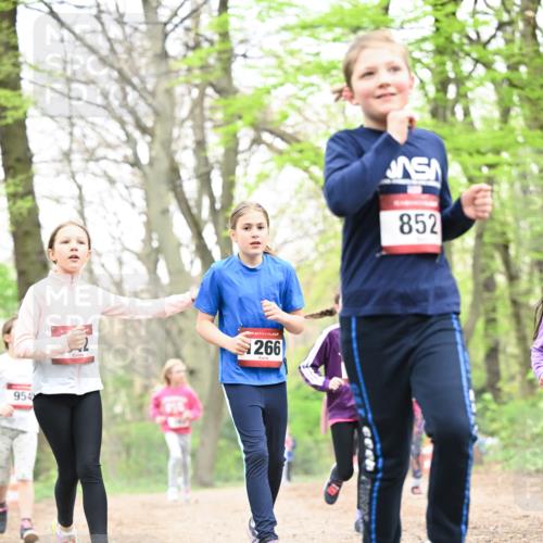13.04.2025 - Hammer Lauf Dr. Thomas Lammeyer http://msf.ph/oto/7633630 13.04.2025 09:25:44 Laufen 954, 266, 852 meine-sportfotos.de