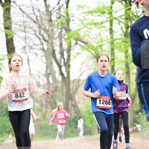 13.04.2025 - Hammer Lauf Dr. Thomas Lammeyer http://msf.ph/oto/7633643 13.04.2025 09:25:44 Laufen 15, 842, 15, 1266, 355 meine-sportfotos.de