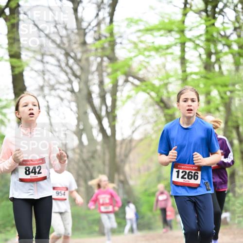 13.04.2025 - Hammer Lauf Dr. Thomas Lammeyer http://msf.ph/oto/7633656 13.04.2025 09:25:44 Laufen 15, 842, 954, 15, 1266 meine-sportfotos.de