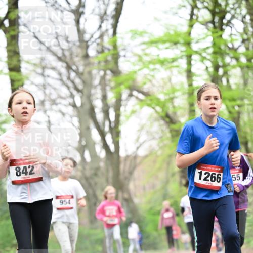 13.04.2025 - Hammer Lauf Dr. Thomas Lammeyer http://msf.ph/oto/7633663 13.04.2025 09:25:45 Laufen 15, 842, 954, 15, 1266, 55 meine-sportfotos.de