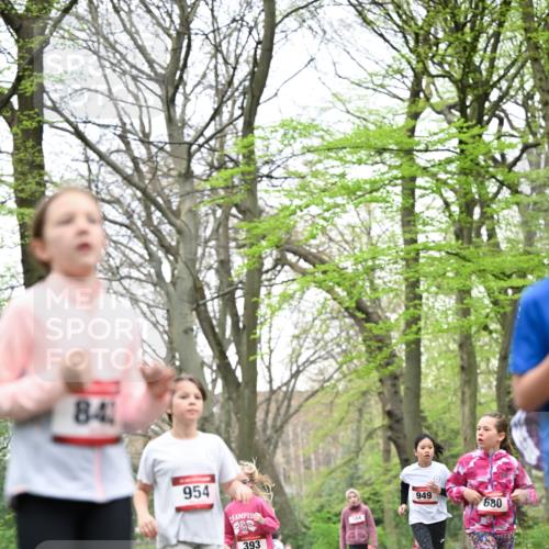 13.04.2025 - Hammer Lauf Dr. Thomas Lammeyer http://msf.ph/oto/7633677 13.04.2025 09:25:45 Laufen 84, 954, 393, 949, 680 meine-sportfotos.de