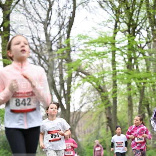 13.04.2025 - Hammer Lauf Dr. Thomas Lammeyer http://msf.ph/oto/7633687 13.04.2025 09:25:45 Laufen 842, 15, 954, 393, 680 meine-sportfotos.de