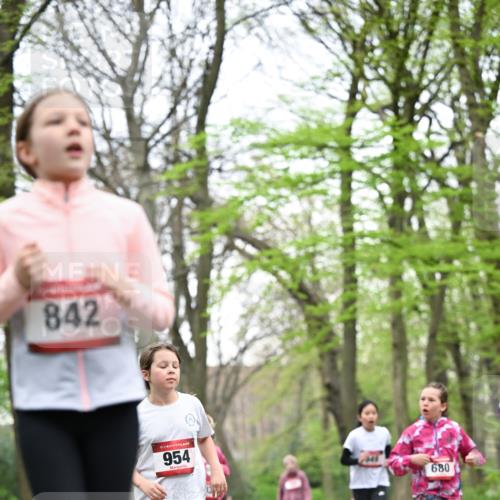 13.04.2025 - Hammer Lauf Dr. Thomas Lammeyer http://msf.ph/oto/7633694 13.04.2025 09:25:45 Laufen 842, 15, 954, 680 meine-sportfotos.de