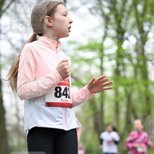 13.04.2025 - Hammer Lauf Dr. Thomas Lammeyer http://msf.ph/oto/7633700 13.04.2025 09:25:46 Laufen 84 meine-sportfotos.de
