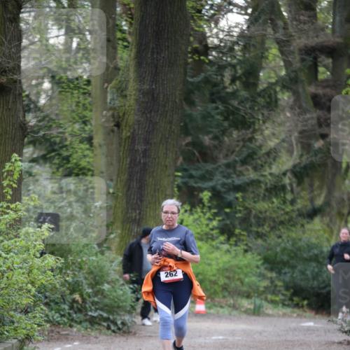 13.04.2025 - Hammer Lauf Jannik Wohlers http://msf.ph/oto/7633893 13.04.2025 10:20:20 Laufen 262 meine-sportfotos.de