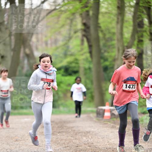 13.04.2025 - Hammer Lauf Dr. Thomas Lammeyer http://msf.ph/oto/7633961 13.04.2025 09:26:01 Laufen 140, 15, 778, 15, 1473 meine-sportfotos.de