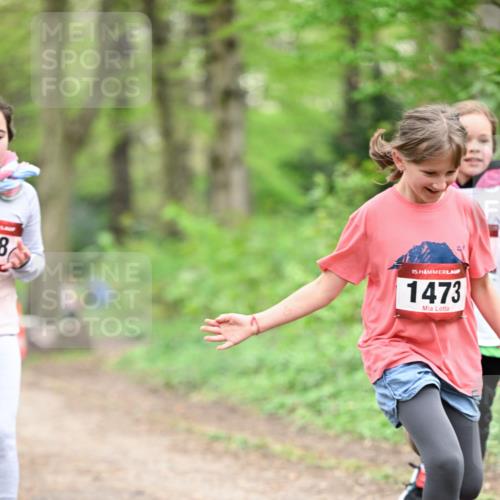 13.04.2025 - Hammer Lauf Dr. Thomas Lammeyer http://msf.ph/oto/7634009 13.04.2025 09:26:02 Laufen 8, 15, 1473 meine-sportfotos.de