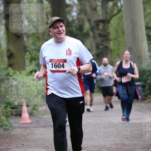 13.04.2025 - Hammer Lauf Jannik Wohlers http://msf.ph/oto/7634026 13.04.2025 12:51:25 Laufen 191, 15, 1604, 02, 1372 meine-sportfotos.de