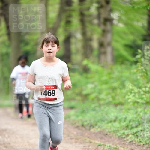 13.04.2025 - Hammer Lauf Dr. Thomas Lammeyer http://msf.ph/oto/7634087 13.04.2025 09:26:06 Laufen 1469 meine-sportfotos.de