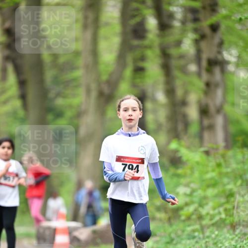 13.04.2025 - Hammer Lauf Dr. Thomas Lammeyer http://msf.ph/oto/7634438 13.04.2025 09:26:30 Laufen 15, 794 meine-sportfotos.de