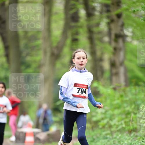 13.04.2025 - Hammer Lauf Dr. Thomas Lammeyer http://msf.ph/oto/7634444 13.04.2025 09:26:30 Laufen 15, 794 meine-sportfotos.de