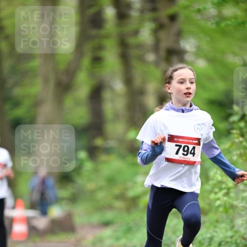 13.04.2025 - Hammer Lauf Dr. Thomas Lammeyer http://msf.ph/oto/7634473 13.04.2025 09:26:31 Laufen 15, 794 meine-sportfotos.de