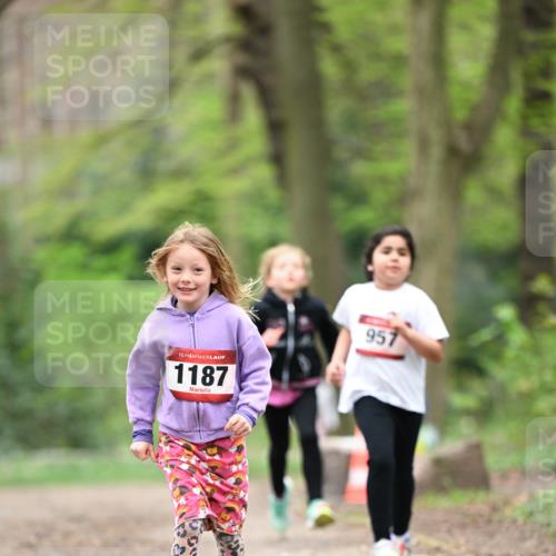 13.04.2025 - Hammer Lauf Dr. Thomas Lammeyer http://msf.ph/oto/7634484 13.04.2025 09:26:32 Laufen 15, 1187, 957 meine-sportfotos.de
