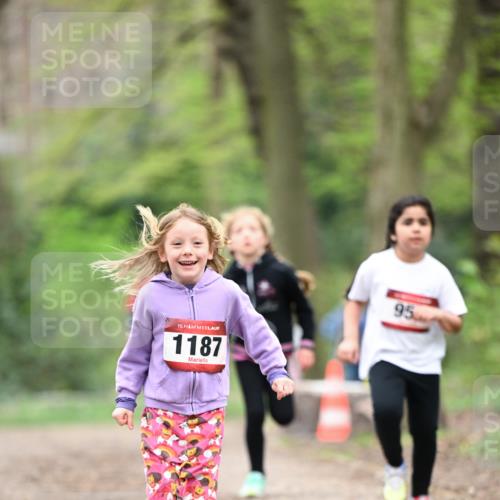 13.04.2025 - Hammer Lauf Dr. Thomas Lammeyer http://msf.ph/oto/7634498 13.04.2025 09:26:32 Laufen 15, 1187, 95 meine-sportfotos.de