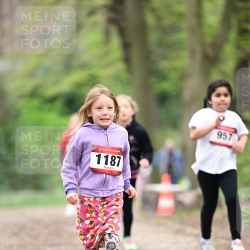 13.04.2025 - Hammer Lauf Dr. Thomas Lammeyer http://msf.ph/oto/7634518 13.04.2025 09:26:33 Laufen 15, 1187, 957 meine-sportfotos.de