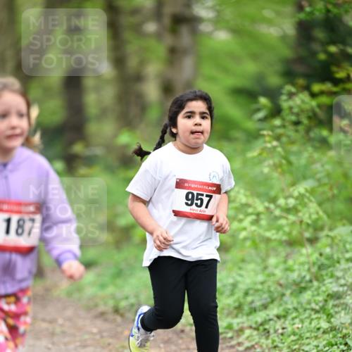 13.04.2025 - Hammer Lauf Dr. Thomas Lammeyer http://msf.ph/oto/7634567 13.04.2025 09:26:34 Laufen 187, 15, 957 meine-sportfotos.de