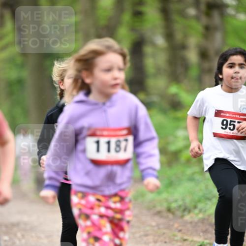 13.04.2025 - Hammer Lauf Dr. Thomas Lammeyer http://msf.ph/oto/7634572 13.04.2025 09:26:34 Laufen 1187, 15, 954 meine-sportfotos.de