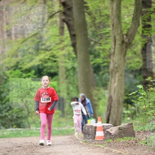 13.04.2025 - Hammer Lauf Dr. Thomas Lammeyer http://msf.ph/oto/7634587 13.04.2025 09:26:35 Laufen 1299 meine-sportfotos.de