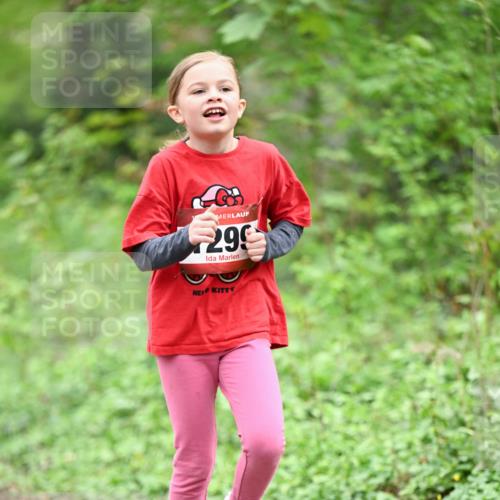13.04.2025 - Hammer Lauf Dr. Thomas Lammeyer http://msf.ph/oto/7634622 13.04.2025 09:26:41 Laufen 29 meine-sportfotos.de