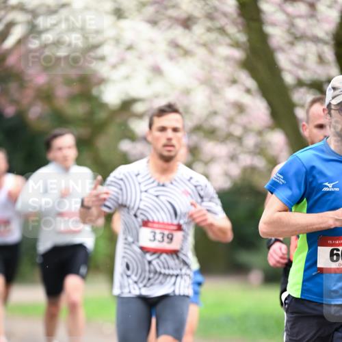 13.04.2025 - Hammer Lauf Dr. Thomas Lammeyer http://msf.ph/oto/7635105 13.04.2025 10:03:56 Laufen 339, 15, 60 meine-sportfotos.de