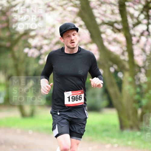 13.04.2025 - Hammer Lauf Dr. Thomas Lammeyer http://msf.ph/oto/7635296 13.04.2025 10:04:18 Laufen 120, 1966 meine-sportfotos.de