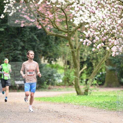 13.04.2025 - Hammer Lauf Dr. Thomas Lammeyer http://msf.ph/oto/7635311 13.04.2025 10:04:37 Laufen 903 meine-sportfotos.de