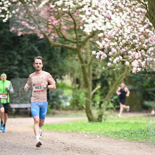 13.04.2025 - Hammer Lauf Dr. Thomas Lammeyer http://msf.ph/oto/7635349 13.04.2025 10:04:38 Laufen 903 meine-sportfotos.de