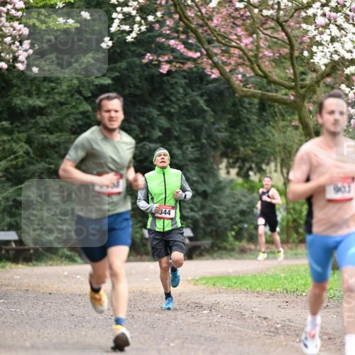 13.04.2025 - Hammer Lauf Dr. Thomas Lammeyer http://msf.ph/oto/7635397 13.04.2025 10:04:39 Laufen 903 meine-sportfotos.de