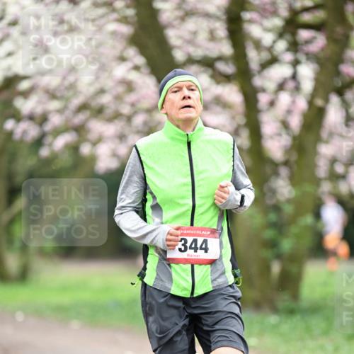 13.04.2025 - Hammer Lauf Dr. Thomas Lammeyer http://msf.ph/oto/7635546 13.04.2025 10:04:44 Laufen 344 meine-sportfotos.de