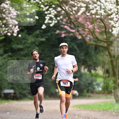 13.04.2025 - Hammer Lauf Dr. Thomas Lammeyer http://msf.ph/oto/7635687 13.04.2025 10:04:57 Laufen 1893, 263 meine-sportfotos.de