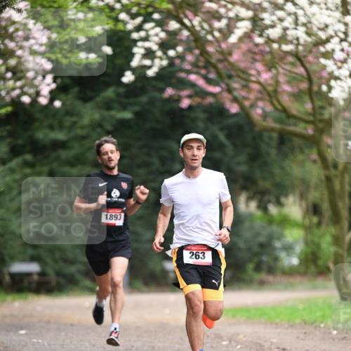 13.04.2025 - Hammer Lauf Dr. Thomas Lammeyer http://msf.ph/oto/7635694 13.04.2025 10:04:58 Laufen 1893, 15, 263 meine-sportfotos.de