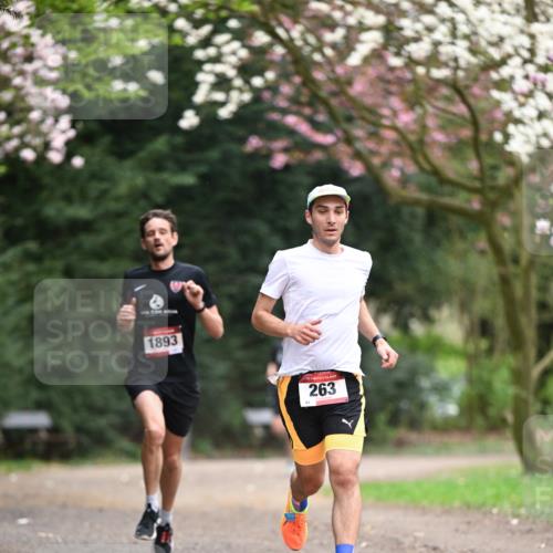 13.04.2025 - Hammer Lauf Dr. Thomas Lammeyer http://msf.ph/oto/7635707 13.04.2025 10:04:58 Laufen 1893, 15, 263 meine-sportfotos.de