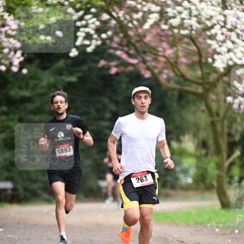 13.04.2025 - Hammer Lauf Dr. Thomas Lammeyer http://msf.ph/oto/7635712 13.04.2025 10:04:58 Laufen 1893, 15, 263 meine-sportfotos.de