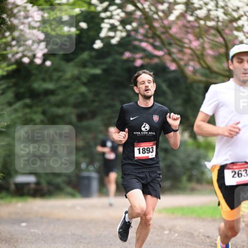 13.04.2025 - Hammer Lauf Dr. Thomas Lammeyer http://msf.ph/oto/7635726 13.04.2025 10:04:59 Laufen 15, 1893, 127, 263 meine-sportfotos.de