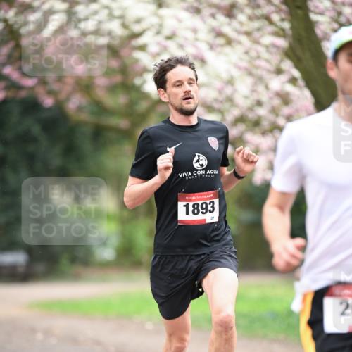 13.04.2025 - Hammer Lauf Dr. Thomas Lammeyer http://msf.ph/oto/7635779 13.04.2025 10:05:00 Laufen 15, 1893, 127, 2 meine-sportfotos.de