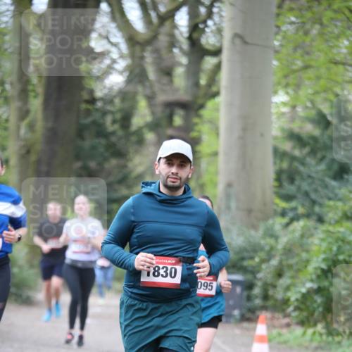 13.04.2025 - Hammer Lauf Jannik Wohlers http://msf.ph/oto/7635876 13.04.2025 10:14:01 Laufen 21, 1830, 095 meine-sportfotos.de