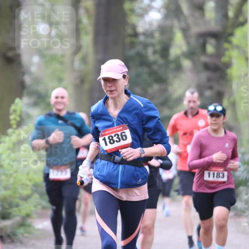 13.04.2025 - Hammer Lauf Jannik Wohlers http://msf.ph/oto/7636373 13.04.2025 10:13:10 Laufen 15, 1836, 1183 meine-sportfotos.de