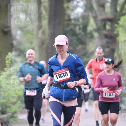 13.04.2025 - Hammer Lauf Jannik Wohlers http://msf.ph/oto/7636377 13.04.2025 10:13:09 Laufen 1223, 15, 1836, 1183 meine-sportfotos.de