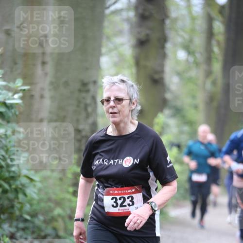 13.04.2025 - Hammer Lauf Jannik Wohlers http://msf.ph/oto/7636380 13.04.2025 10:13:08 Laufen 15, 323, 32 meine-sportfotos.de