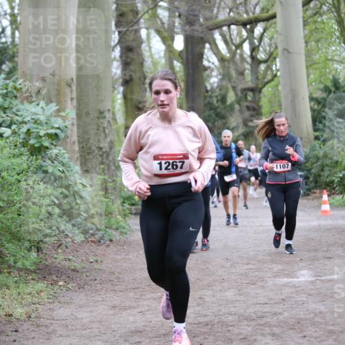 13.04.2025 - Hammer Lauf Jannik Wohlers http://msf.ph/oto/7636381 13.04.2025 12:48:47 Laufen 15, 1267, 306, 1107 meine-sportfotos.de