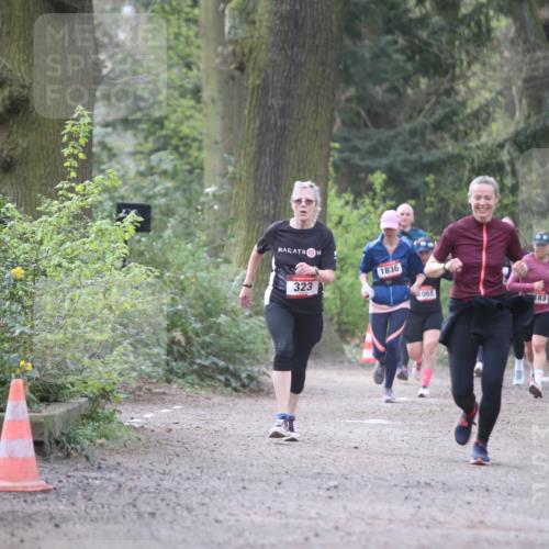 13.04.2025 - Hammer Lauf Jannik Wohlers http://msf.ph/oto/7636429 13.04.2025 10:13:00 Laufen 1836, 323, 068, 183, 1323 meine-sportfotos.de