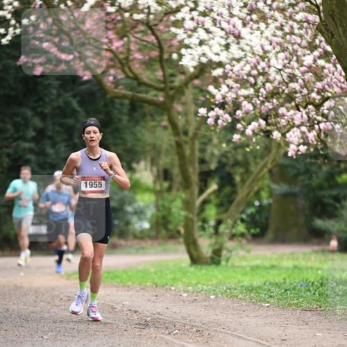13.04.2025 - Hammer Lauf Dr. Thomas Lammeyer http://msf.ph/oto/7637077 13.04.2025 10:06:20 Laufen 1955 meine-sportfotos.de