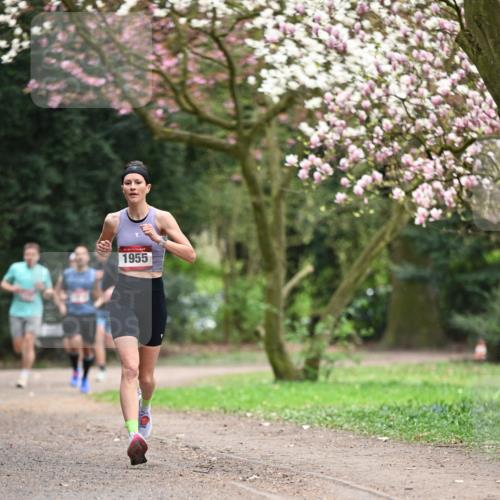 13.04.2025 - Hammer Lauf Dr. Thomas Lammeyer http://msf.ph/oto/7637083 13.04.2025 10:06:21 Laufen 1955 meine-sportfotos.de