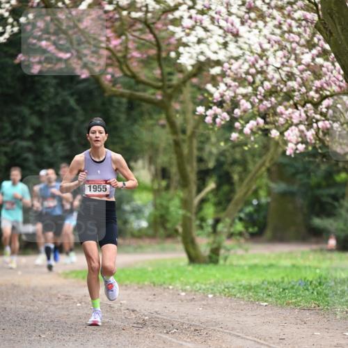 13.04.2025 - Hammer Lauf Dr. Thomas Lammeyer http://msf.ph/oto/7637087 13.04.2025 10:06:21 Laufen 1955 meine-sportfotos.de