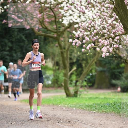 13.04.2025 - Hammer Lauf Dr. Thomas Lammeyer http://msf.ph/oto/7637093 13.04.2025 10:06:21 Laufen 1955 meine-sportfotos.de